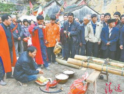 豎起刀桿之前,用活雞鴨來祭祀祈求平安。