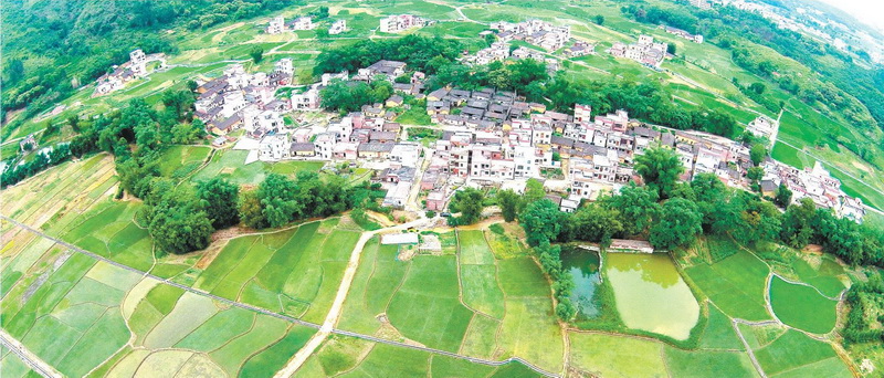 陽(yáng)山縣太平鎮(zhèn)白花村中心小組,村中整合前的土地分布零散,由原來(lái)的78塊田整合成33塊田。