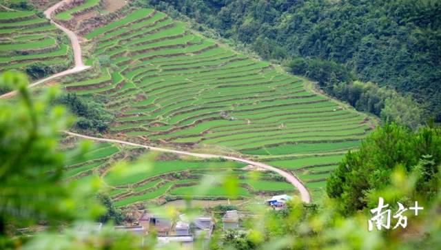 黑山村梯田。記者黃津 攝