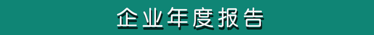 企業(yè)年度報告