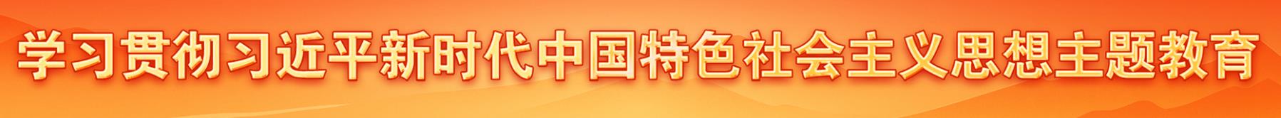 學(xué)習(xí)貫徹習(xí)近平新時(shí)代中國(guó)特色社會(huì)主義思想主題教育