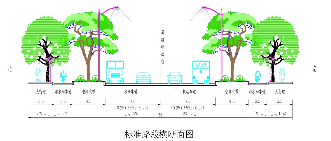 標準橫斷面.jpg